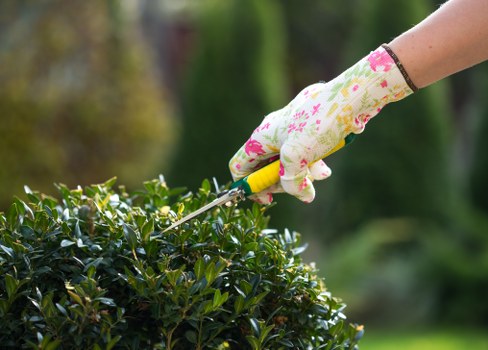 Cookie policy introduction for Tree Surgeons Barnet website