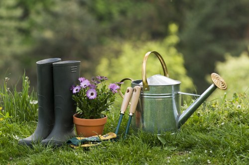 Local tree pruning and crown reduction service in Barnet