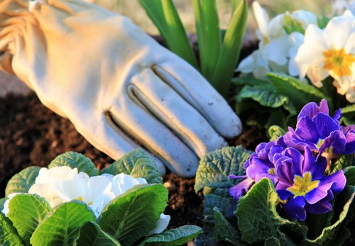 Staff awareness of modern slavery risks