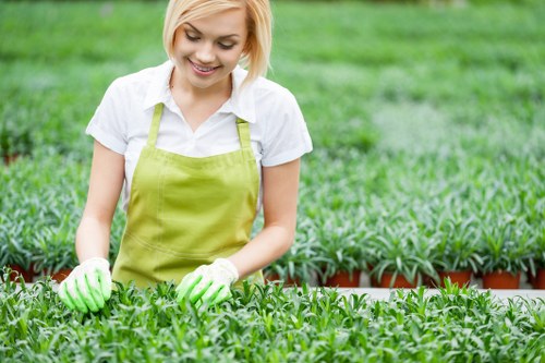 Local hedge trimming service for a commercial frontage in Barnet